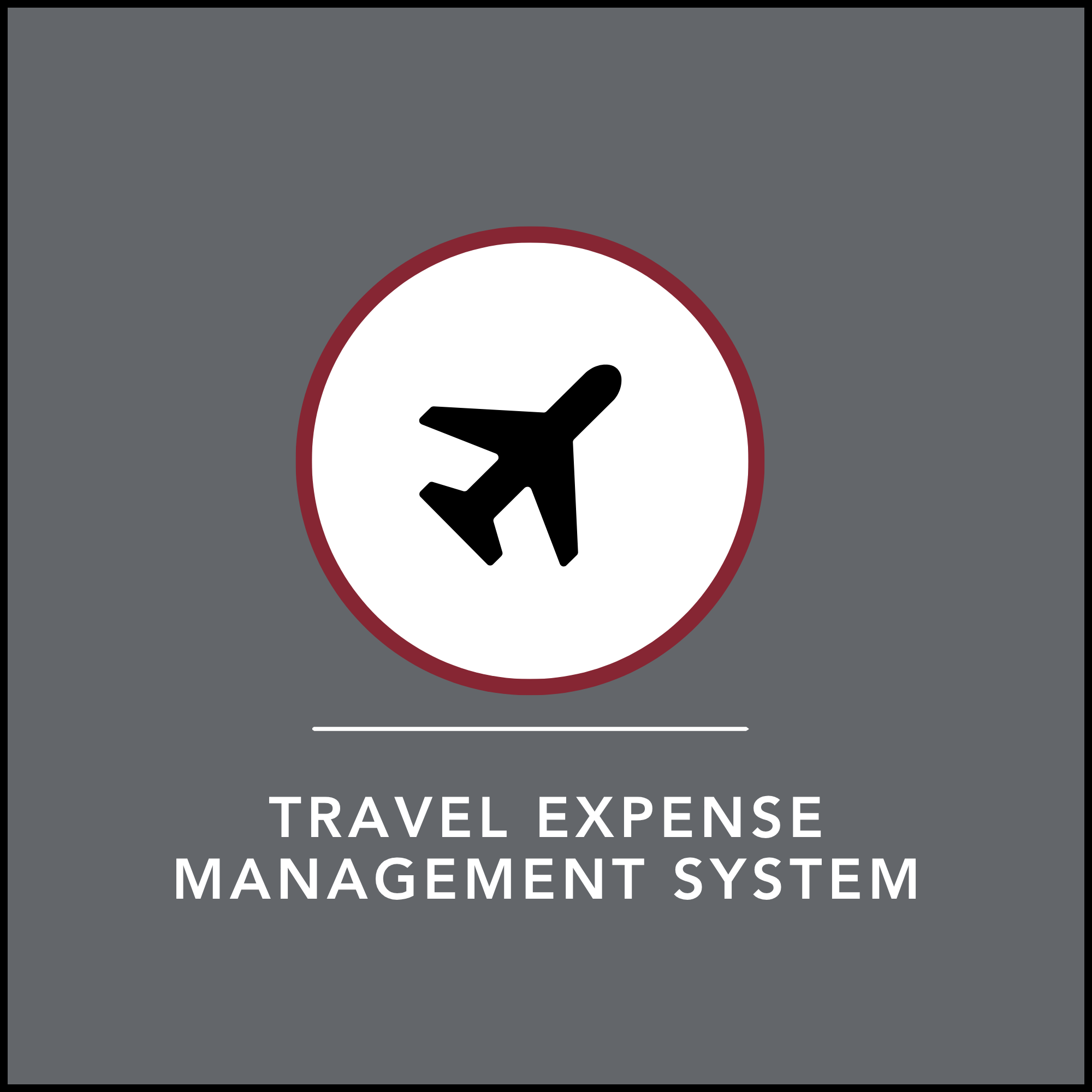 Icon of a plane with the words, "Travel Expense Management System" below